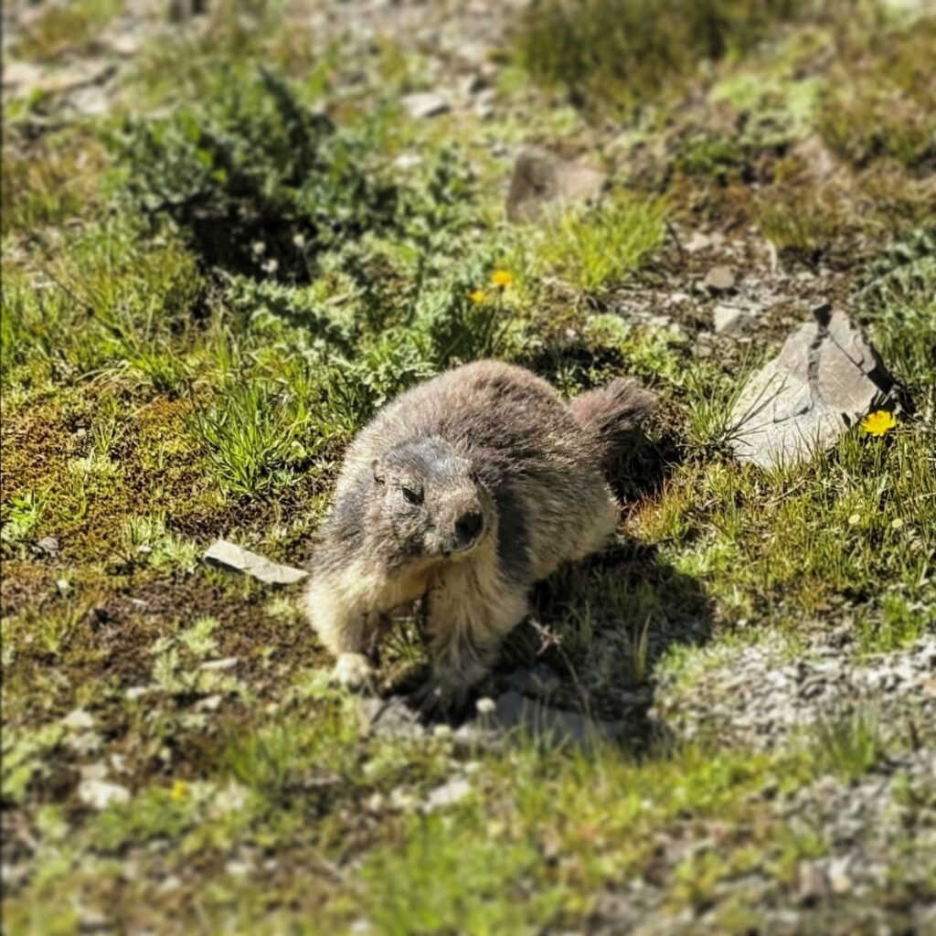 Instagram post from clemence_randoyoga. This post is in position 5.