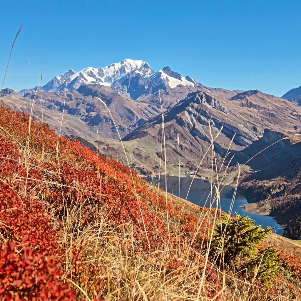 Instagram post from clemence_randoyoga. This post is in position 0.