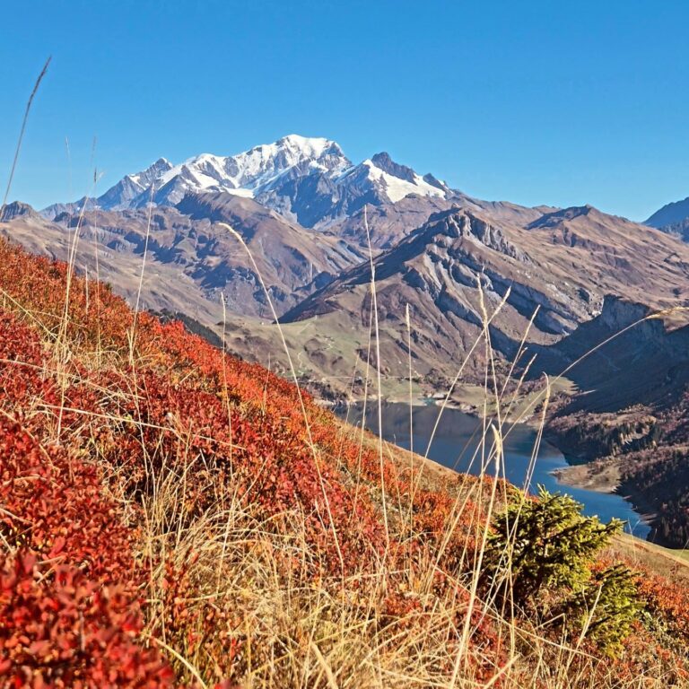 Instagram post from clemence_randoyoga. This post is in position 1.