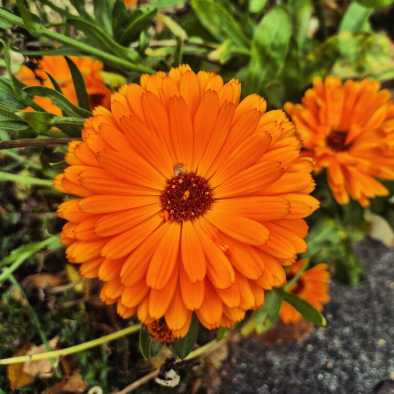 Instagram post from clemence_randoyoga. This post is in position 2.