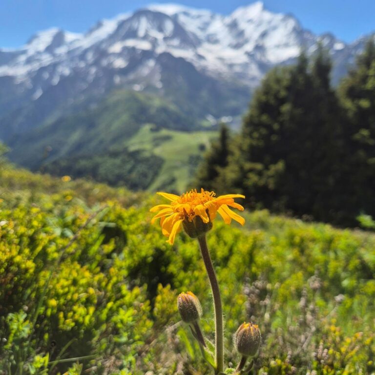 Instagram post from clemence_randoyoga. This post is in position 1.