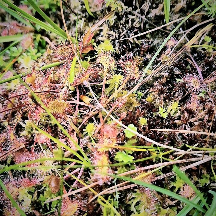 Instagram post from clemence_randoyoga. This post is in position 1.